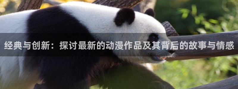 acg里番动漫网
