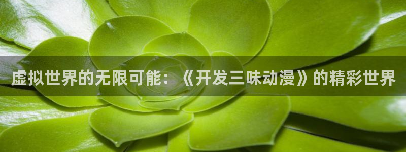 里番网站动漫：虚拟世界的无限可能：《开发三味动漫》的精彩世界