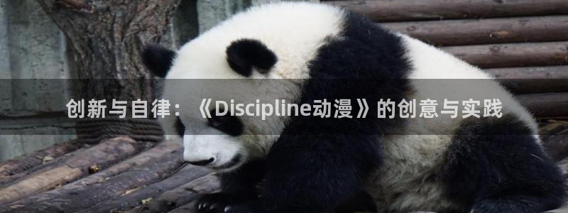 涩里番动漫视频