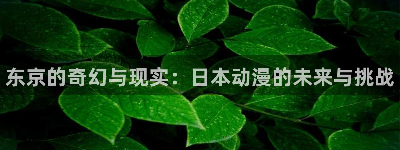 里番动漫app免费