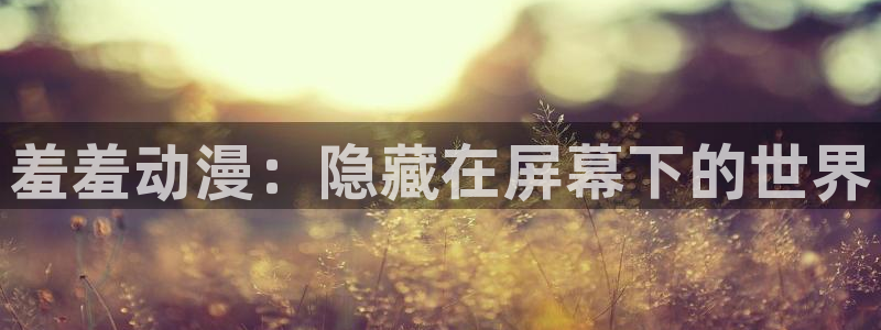 里番动漫官网