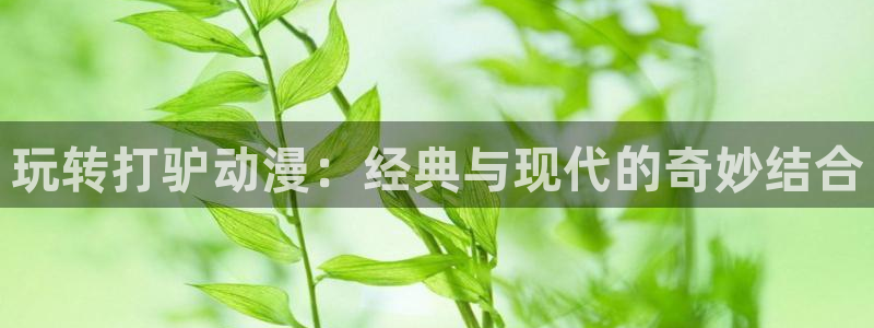 动漫里番在线播放