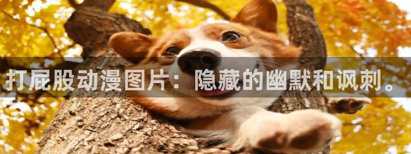 里番动画在线