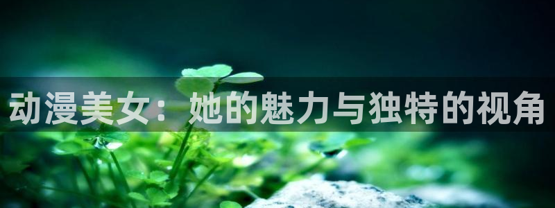 老里番动漫