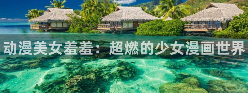 里番动漫网站在线观看
