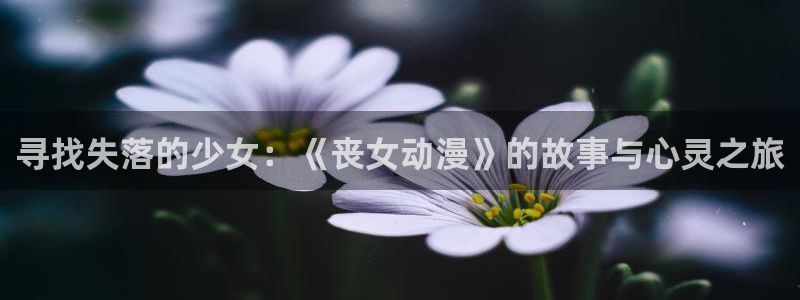 日本里番动漫免费观看