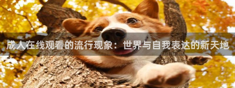 里番动漫义母