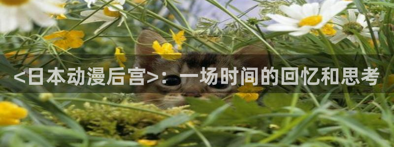 旧里番漫画：<日本动漫后宫>：一场时间的回忆和思考