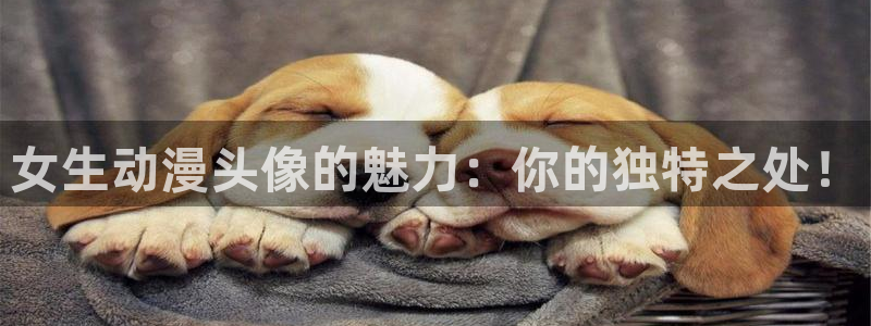 里番最新动漫：女生动漫头像的魅力：你的独特之处！