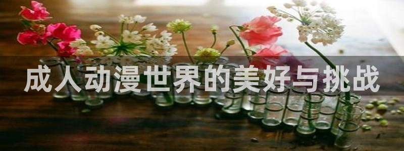 工囗里番漫画：成人动漫世界的美好与挑战