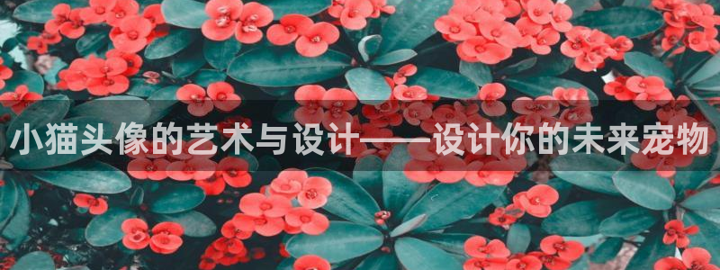 旧里番成人动漫：小猫头像的艺术与设计——设计你的未来宠物