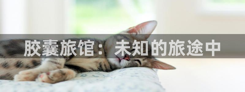 动漫gif里番图片