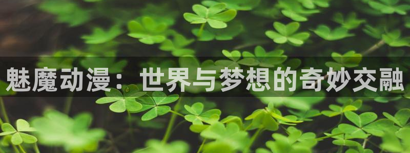 2024里番动漫