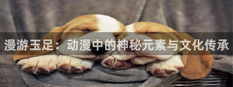里番动漫无删减