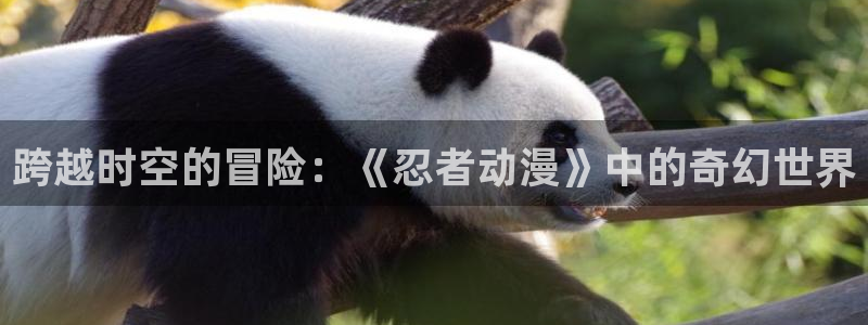 好看的里番