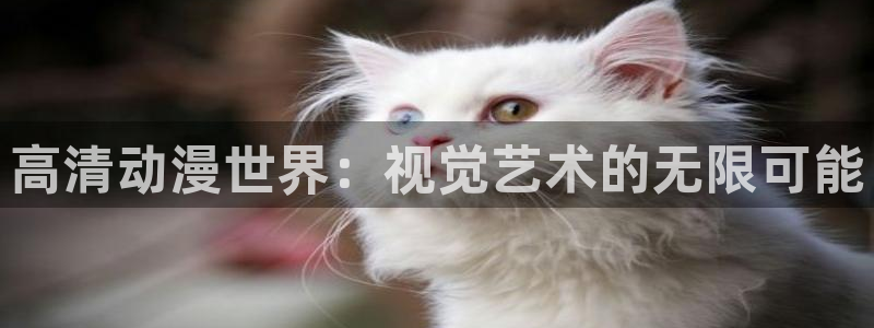 里番动漫是什么?