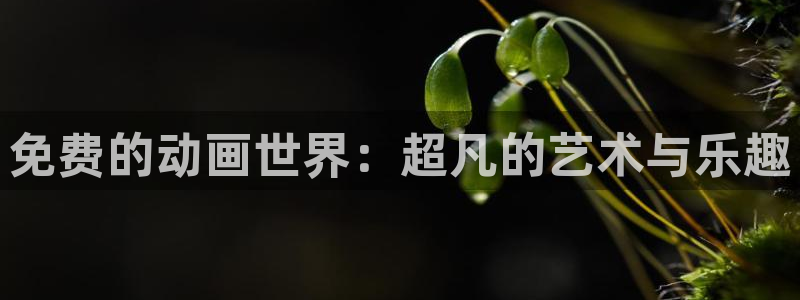 里番动漫最新网址：免费的动画世界：超凡的艺术与乐趣