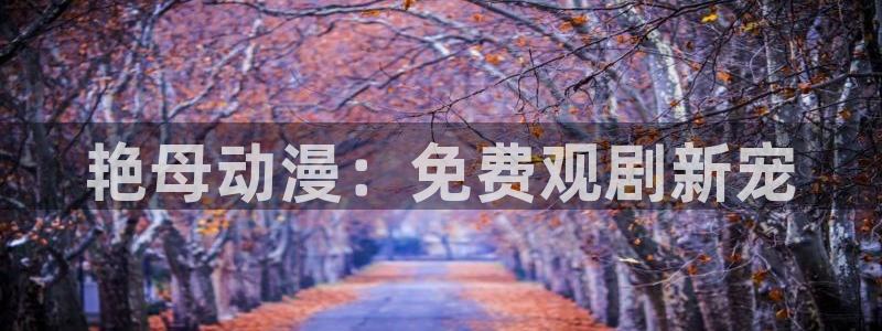 动漫里番在哪里看