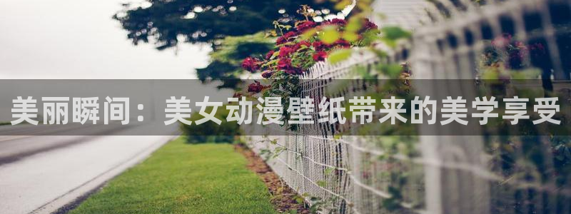 bl动漫里番