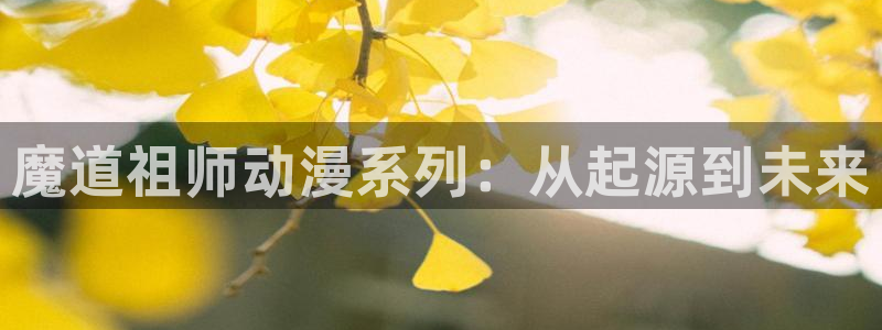 足控动漫里番