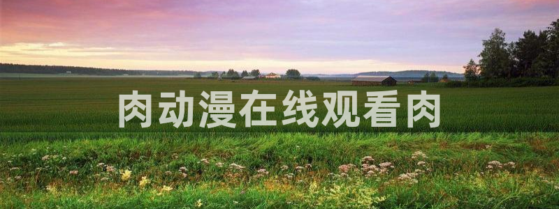 里番动漫在哪看